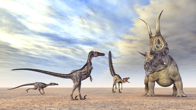 Velociraptoren auf der Jagd