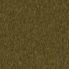 grass background