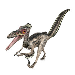 Velociraptor