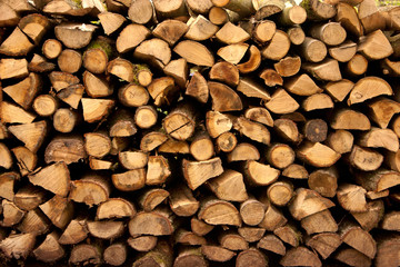 Pile of Wood - 5
