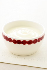 fresh delicious sour cream