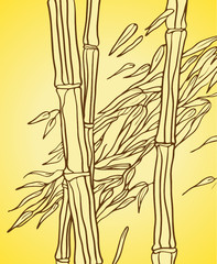 Bamboo with leaves in the wind