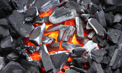 Glühende Holzkohle