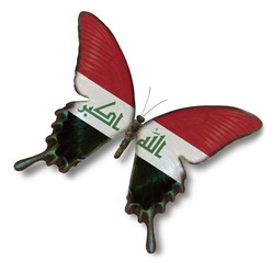 Iraq flag on butterfly