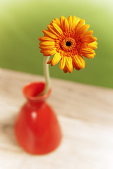 summer flowers bouquet in a vase, close-up