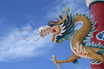 Fototapeta premium Giant golden Chinese dragon