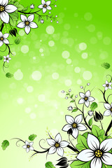 Flowers Background
