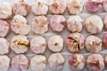 top view of garlic in studio