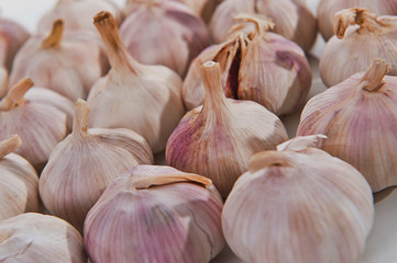 close up of garlic in studio