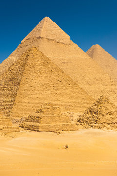 Tourist Riding Camel Base Giza Pyramids Egypt