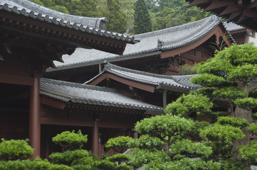 Roof Details of Chinese Temple in HongKong
