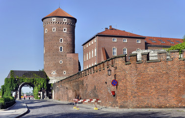Tower, Gate and Wall of Wawel Castle