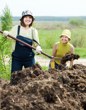 Women Works With Animal Manure