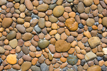 Background of small marine stones