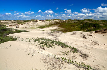 sand dunes in Zandvoort aan zee