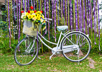 Fototapeta na wymiar decorative old white painted bicycle with basket of colorful fl