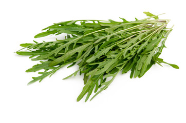 Rucola