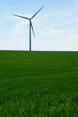 Fototapeta na wymiar éolienne verte et bleu