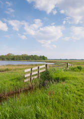 Fototapeta premium Dutch rural landscape in spring