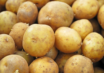 Potatoes
