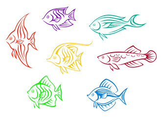 Colorful aquarium fishes set