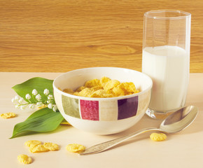 cereal with milk on the table
