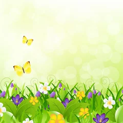 Photo sur Plexiglas Papillon Fleurs avec de l& 39 herbe avec papillon et bokeh