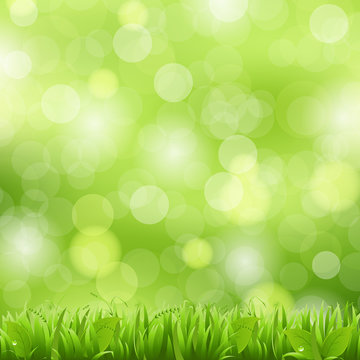 Nature Background With Grass