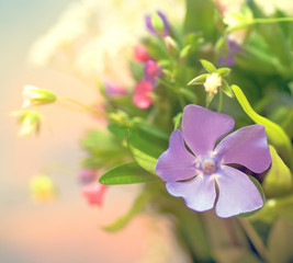 Naklejka na ściany i meble Beautiful floral blurred background