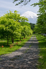 Fuji Path
