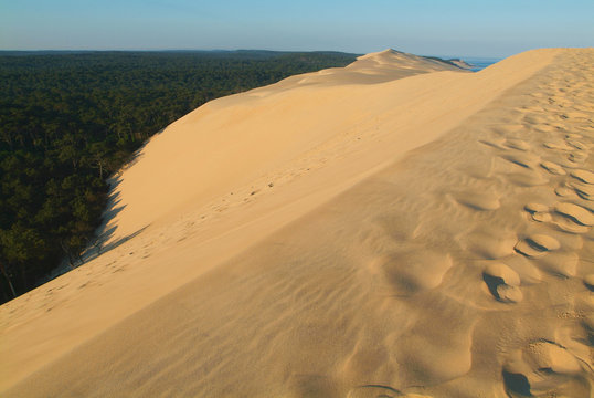 Dune du Pyla - Bassin d'Arcachon