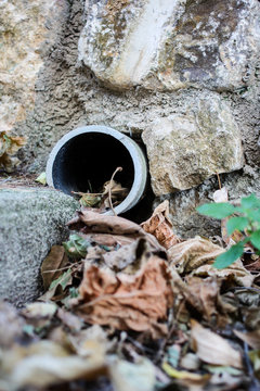Old Drainage With Leafs