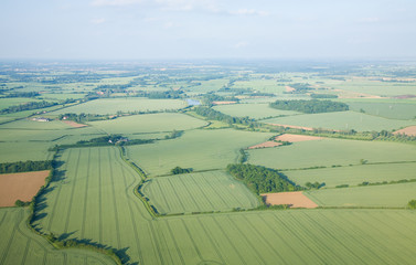 view over the early summer green fields