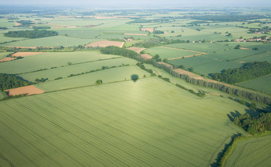 view over the early summer green fields