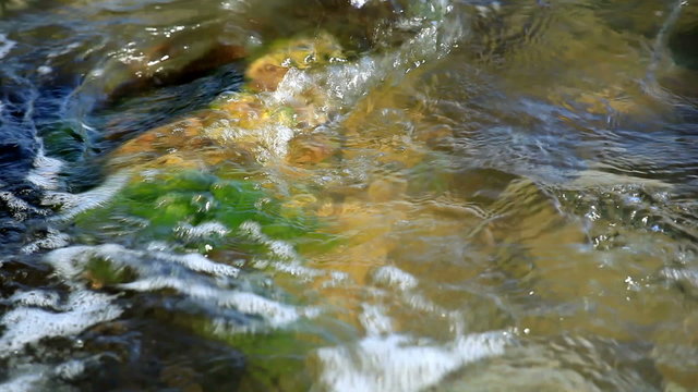 Sea waves wash a stone with algas