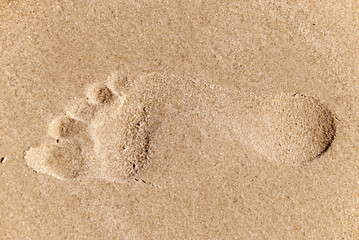Spur im Sand