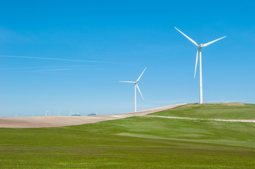 Fototapeta premium Wind turbines