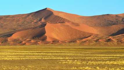 Namib Naukluft reserve