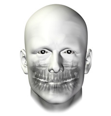 teeth dental scan adult male