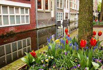 Fototapeta na wymiar street of Delft, Holland