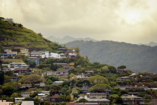 Hawaiian Homes On Tropical Hillside