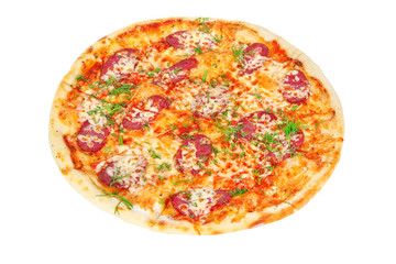 delicious pizza with salami and cheese
