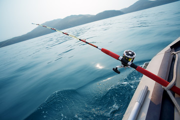 Salmon trolling in sea