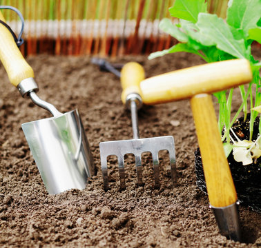 Garden tools for transplanting and weeding