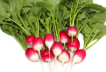 Fresh radishes on a plate.