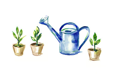 watercolor tool gardener