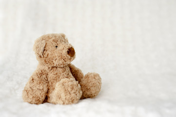 teddy bear seated on white carpet