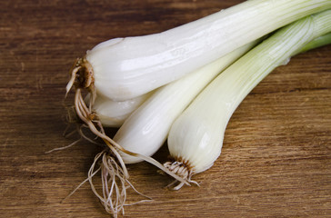 Spring onion