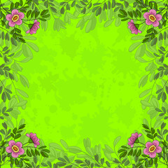 Flowers on green background