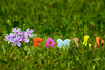 the word family with a flower on green grass